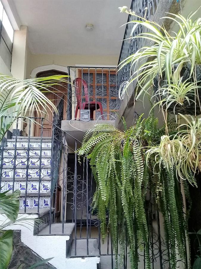 La Vieja Terraza Hostel Antigua Ngoại thất bức ảnh