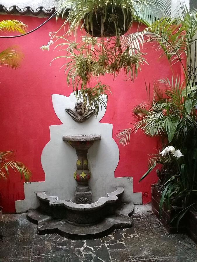 La Vieja Terraza Hostel Antigua Ngoại thất bức ảnh